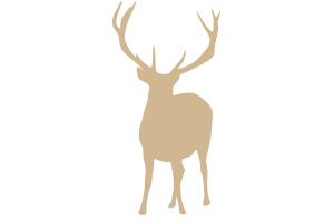 Freitas-Rangeland-deer