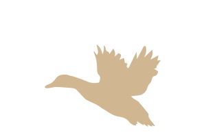 Freitas-Rangeland-duck